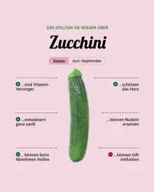 Zucchini