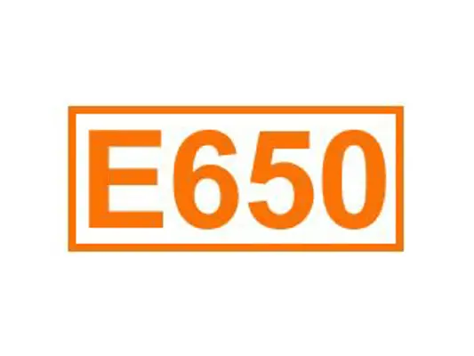 E 650 ein Geschmacksverstärker