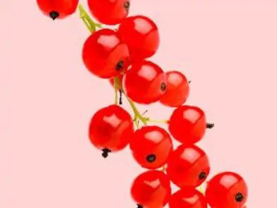 Johannisbeeren