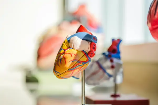 Unregelmäßiger Schlaf erhöht Risiko für Herzinfarkt