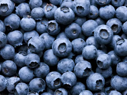 Beeren länger frisch halten 