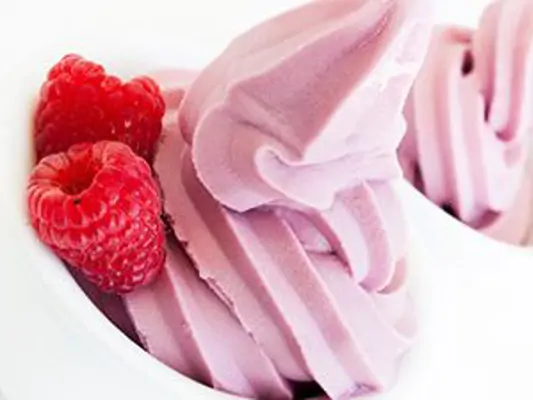 Frozen Yogurt selber machen