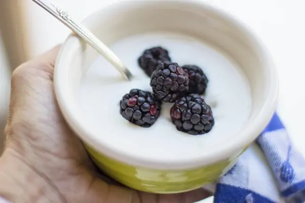 Joghurt selber machen