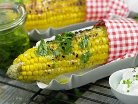 Maiskolben gegrillt