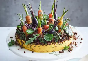 Möhren-Cheddar-Torte