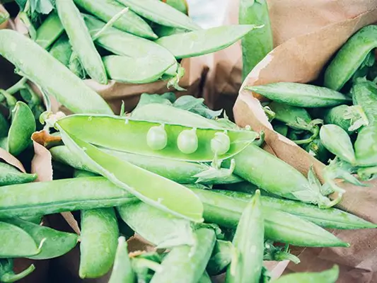 Vegetarische Eiweißquellen: Erbsen