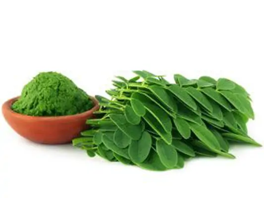Moringa