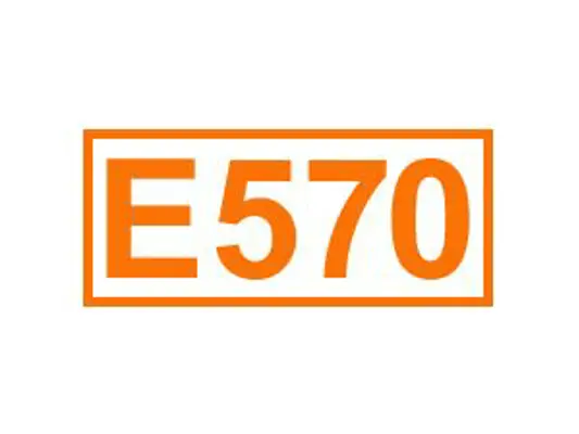 E 570 ein Trägerstoff