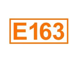 E 163 ein Farbstoff