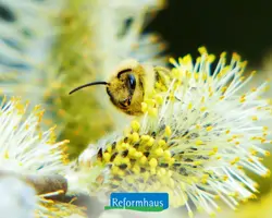 Reformhaus: Goldene Zeiten für die Gesundheit