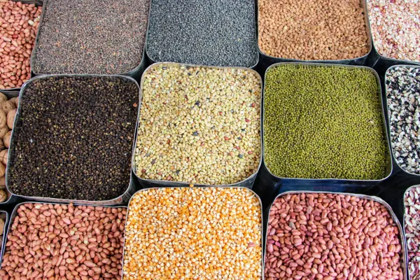 Das sind sie: Die 10 besten veganen Eiweißquellen