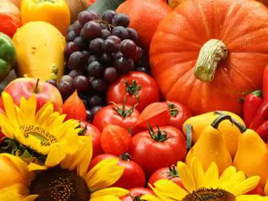 Obst- und Gemüsesorten im Herbst