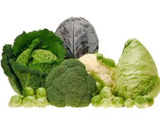 Beliebte Kohlsorten - Wirsingkohl, Blumenkohl, Spitzkohl, Rotkohl