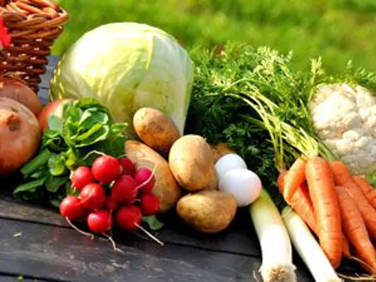 Perfekte Ernährung