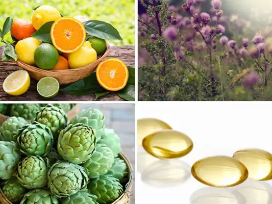 Collage aus Artischocke Zitrusfrüchten, Mariendistel und Taurinkapseln
