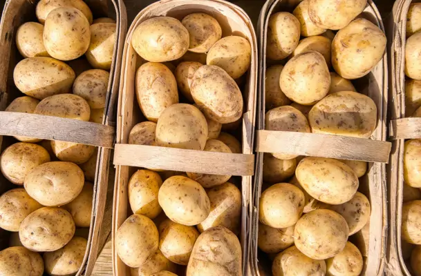 Schnelle Gerichte mit Kartoffeln: 8 einfache Rezepte