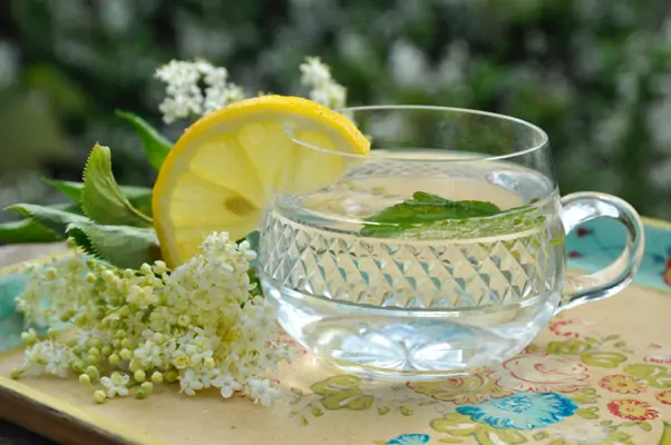 Holunderblütensirup selber machen