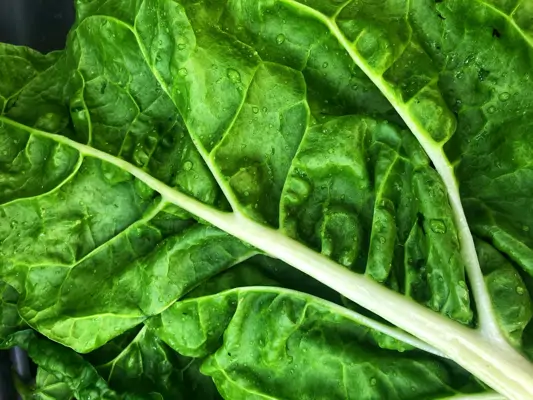 Mit Ernährung den Körper entsäuern – ist das möglich?