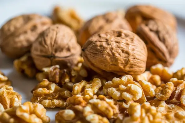 Walnüsse gesund