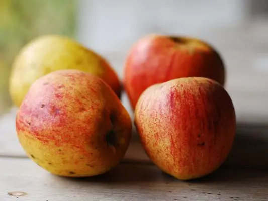 Finkenwerder Herbstprinz ist auch für Apfelallergiker verträglich