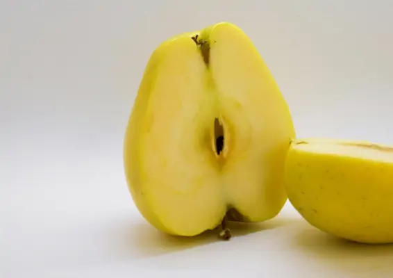 Antioxidationsmittel