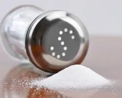 Wie viel Chlorid braucht der Mensch?