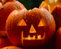 Halloween-Kürbis schnitzen