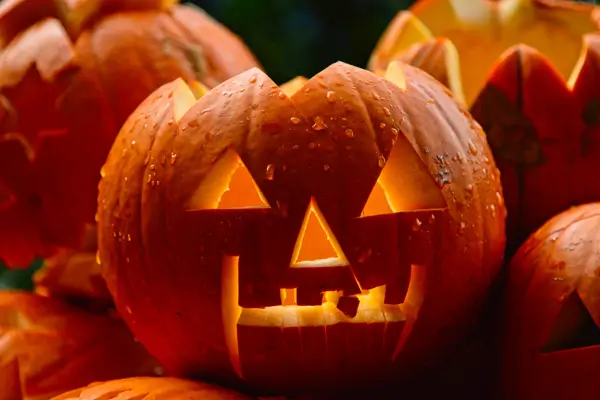 Halloween-Kürbis schnitzen