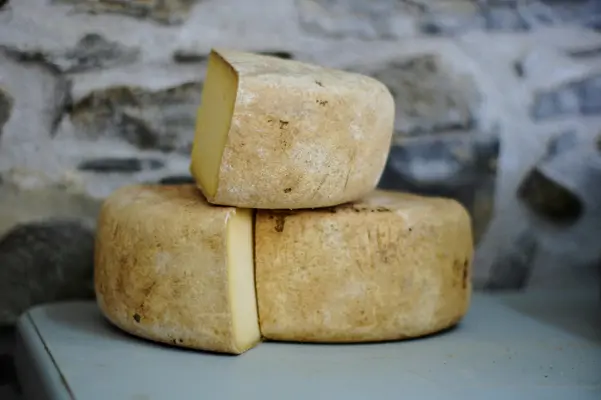 Käse kann süchtig machen