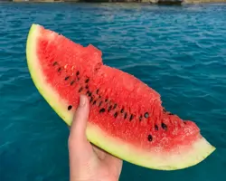 Strand-Snack