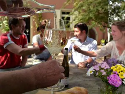 Weinschorle selber machen