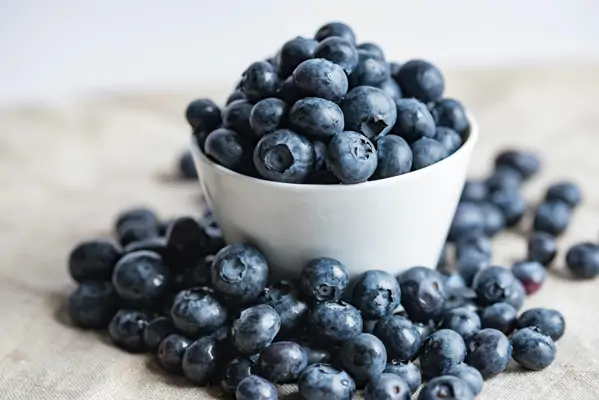 10 sommerliche Rezepte mit Heidelbeeren