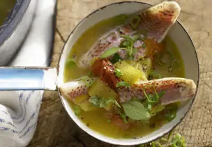Rotbarben in Gemüsesuppe