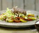 Tatar-Frikadellen