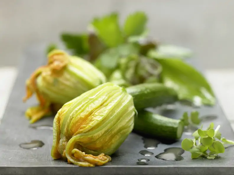 Gedämpfte Zucchiniblüten