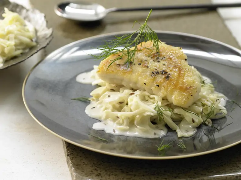 Lengfisch auf Kümmel-Spitzkohl