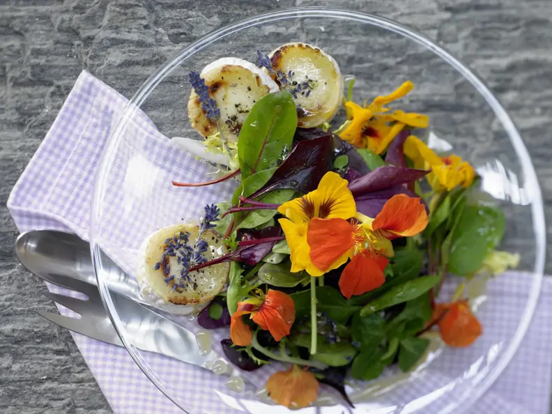 Ziegenkäsesalat