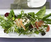 Mischsalat mit Dressing