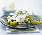 Zanderfilet auf Zucchini