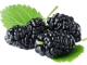 Brombeere