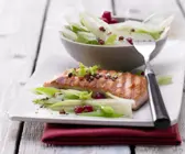 Kochbuch für Eiweiß-Diät Rezepte