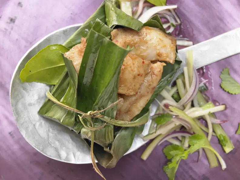 Thai-Pangasius