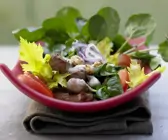 Frühlingsrezepte