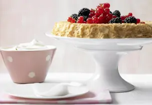 Locker-leichte Beerentorte