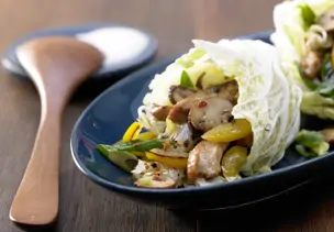Scharfe Chinakohl-Wraps