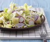 Radieschen-Sprossen-Salat
