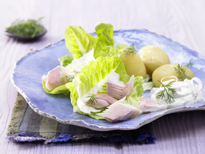 Forellenfilets auf Salat