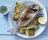 Dorade im Backofen