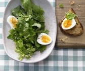 Kräutersalat mit Ei