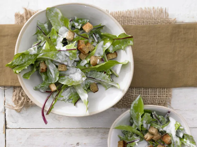 Löwenzahnsalat